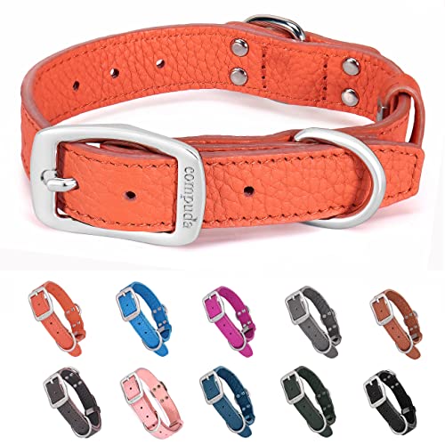 Compuda Hundehalsband aus Leder, verstellbar, langlebig, robust, geruchshemmend, Echtleder, Hundehalsbänder für kleine, mittelgroße und große Hunde, Orange, Größe L von Compuda