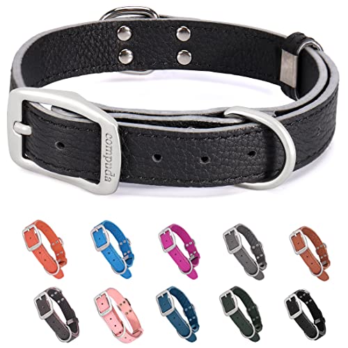 Compuda Hundehalsband aus Leder, verstellbare Schnalle, echtes Leder, für kleine, mittelgroße und große Hunde, Schwarz, Pink, Orange, Blau, Größe M von Compuda