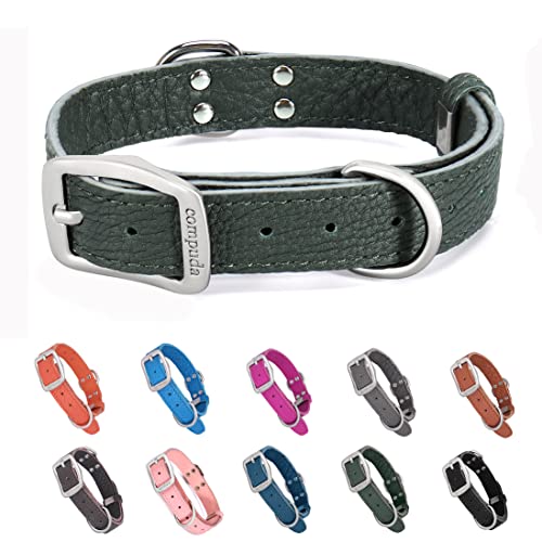 Compuda Hundehalsband aus grünem Leder, verstellbare Schnalle, echtes Leder, Hundehalsbänder für kleine, mittelgroße und große Hunde, schwarz, rosa, orange, blau, Größe S von Compuda