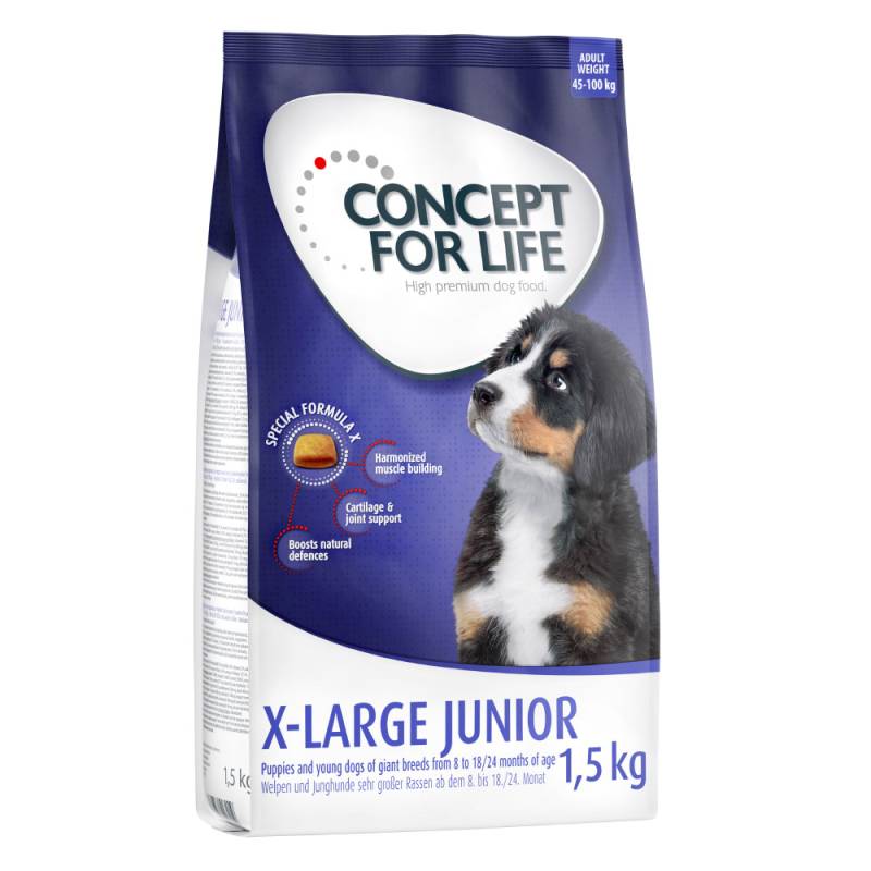 1,5 kg Junior Concept for Life zum Probierpreis! - 1.5 kg X-Large Junior von Concept for Life