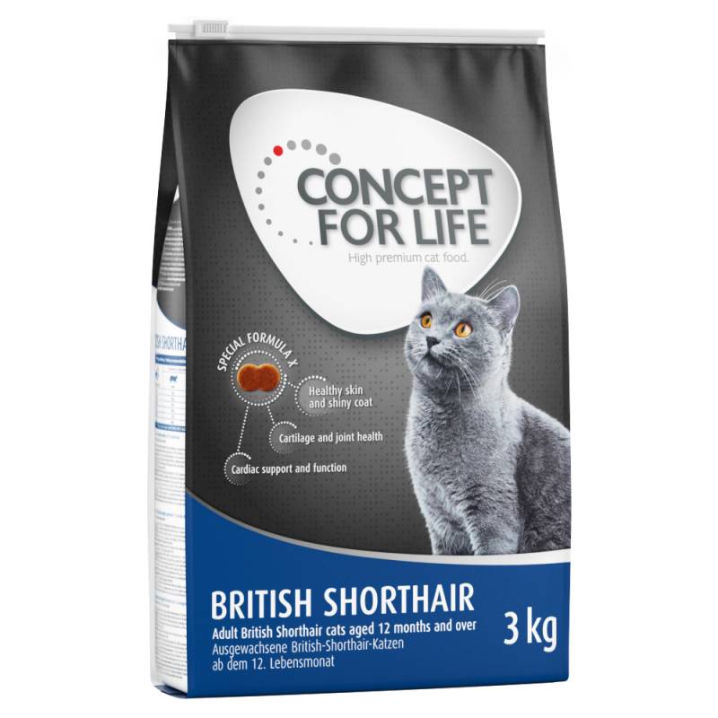 10 kg / 9 kg Concept for Life 20% Rabatt! - British Shorthair 3 x 3 kg von Concept for Life