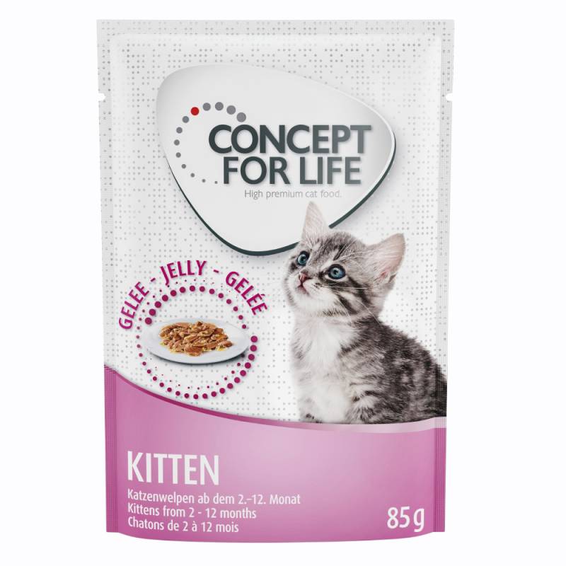 12 x 85 g Concept for Life Kitten Nassnahrung zum Probierpreis! - Kitten- in Gelee von Concept for Life