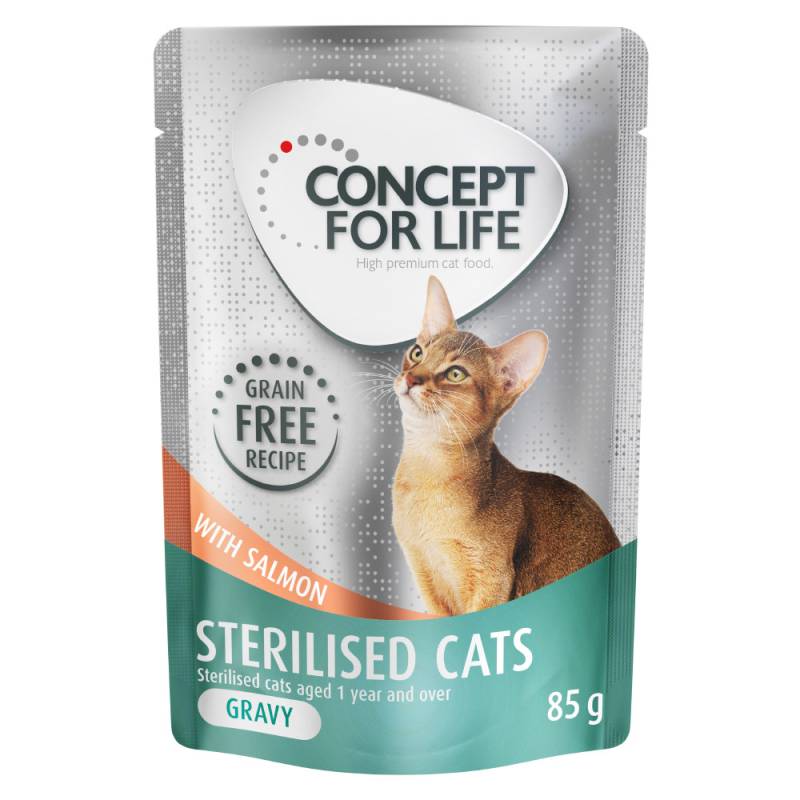 12 x 85 g Concept for Life getreidefrei zum Sonderpreis! - Sterilised Cats Lachs - in Soße von Concept for Life