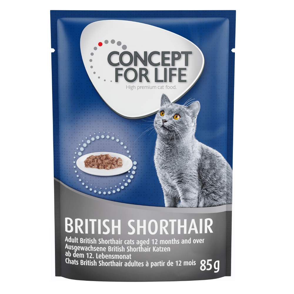 20 + 4 gratis! Concept for Life 24 x 85 g - British Shorthair Adult (Ragout-Qualität) von Concept for Life