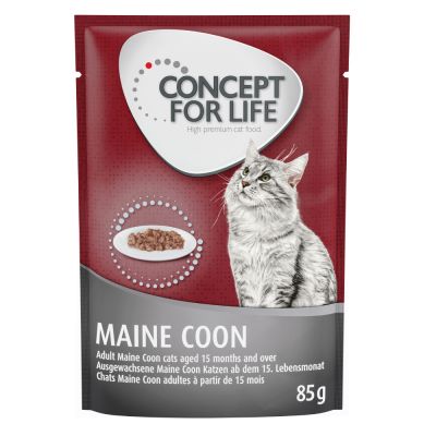 20 + 4 gratis! Concept for Life 24 x 85 g - Maine Coon Adult (Ragout-Qualität) von Concept for Life