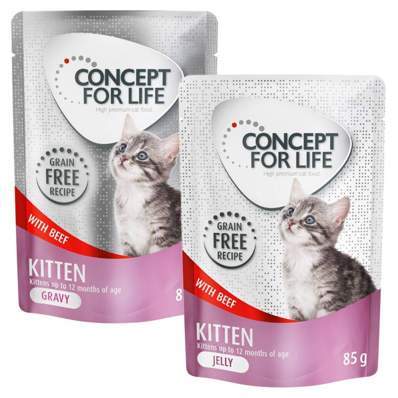 24 x 85 g Concept for Life getreidefrei Kitten Gelee & Soße zum Sonderpreis! - Kitten Rind von Concept for Life