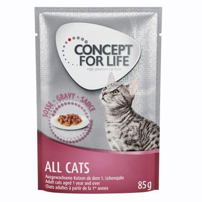 Concept for Life All Cats – in Soße (48 x 85 g) von Concept for Life