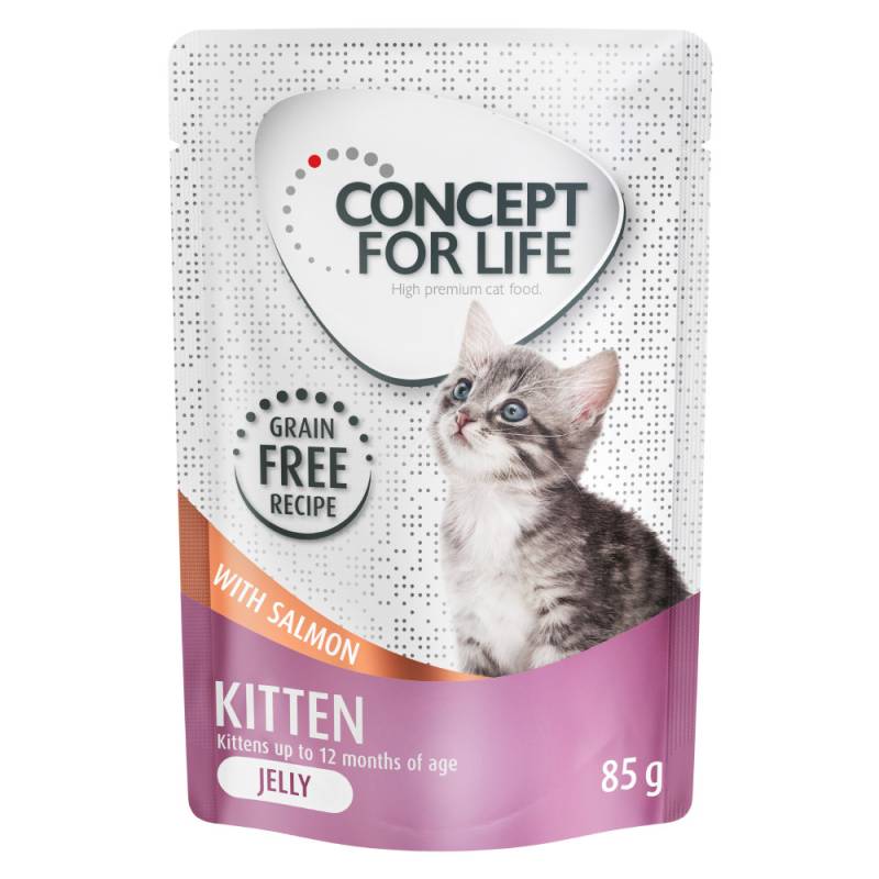 Concept for Life Kitten Lachs getreidefrei - in Gelee - Sparpaket: 24 x 85 g von Concept for Life