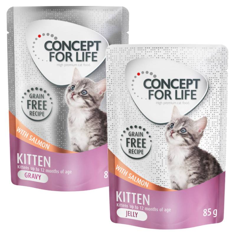 Gemischtes Sparpaket Concept for Life getreidefrei Gelee & Soße 24 x 85 g - Kitten Lachs - in Soße und Gelee von Concept for Life