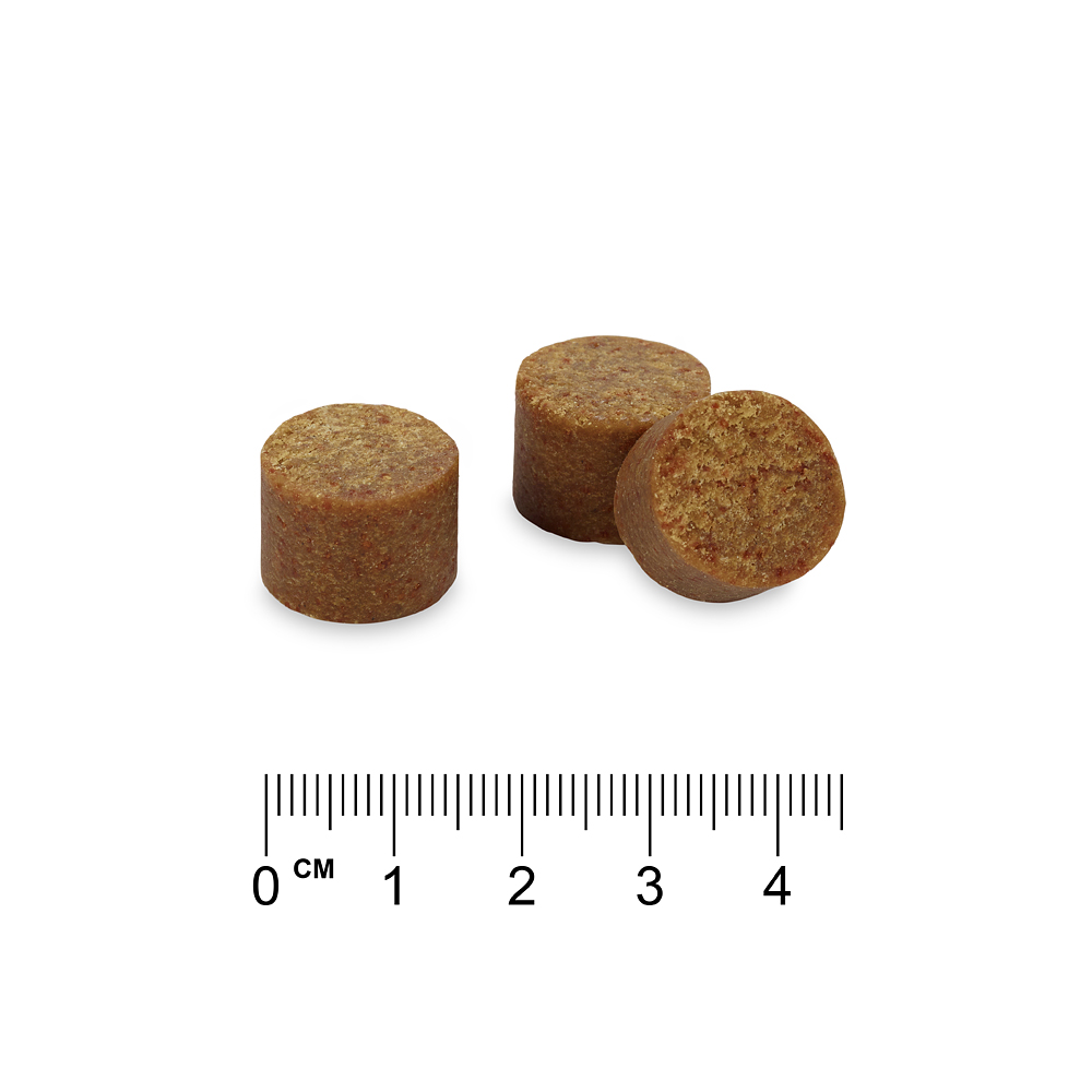Immune System Support Supplements Chews - Concept for Life - Sparpaket: 2 x 270 g Immune System Support Supplements Chews - Concept for Life - Sparpaket: 2 x 270 g von Concept for Life