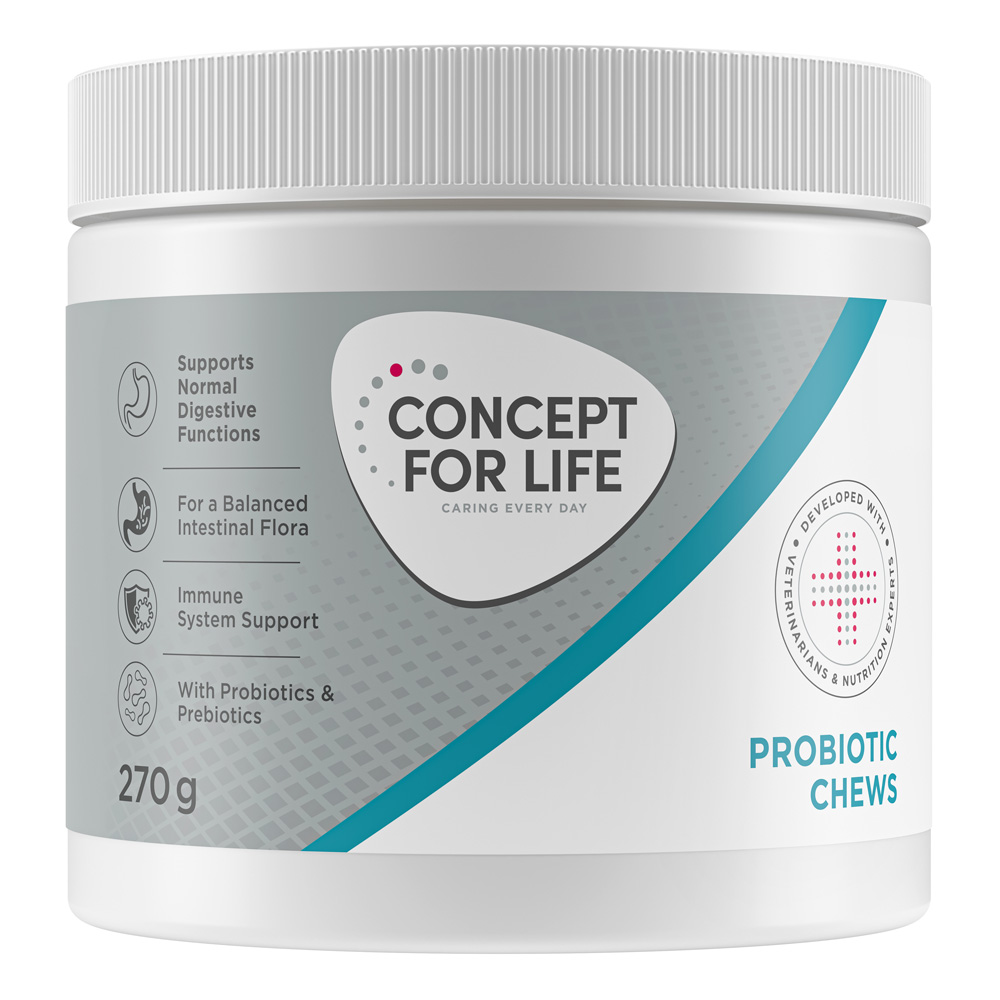 Probiotic Supplements Chews - Concept for Life - Sparpaket: 2 x 270 g Probiotic Supplements Chews - Concept for Life - Sparpaket: 2 x 270 g von Concept for Life