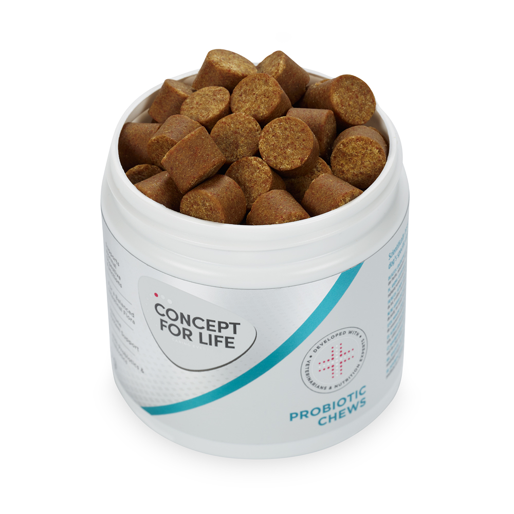 Probiotic Supplements Chews - Concept for Life - Sparpaket: 2 x 270 g Probiotic Supplements Chews - Concept for Life - Sparpaket: 2 x 270 g von Concept for Life