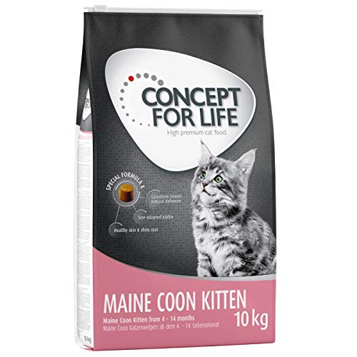 Concept for Life Maine Coon Kitten Katzenfutter trocken 10 kg für Kätzchen im Alter von 4-15 Monaten, hergestellt mit Reis mit ätherischem Taurin von Concept