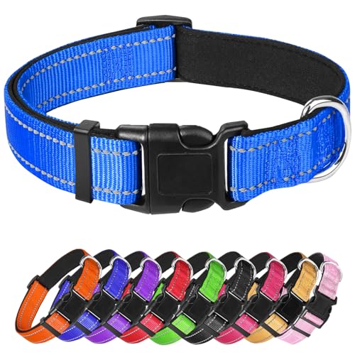 Großes Hundehalsband, reflektierendes Haustierhalsband mit Schnalle, verstellbare Sicherheits-Nylon-Halsbänder für kleine, mittelgroße und große Hunde, Blau von Confvrter