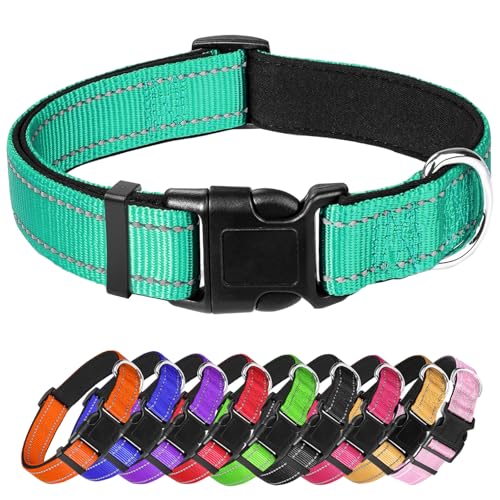 Großes Hundehalsband, reflektierendes Haustierhalsband mit Schnalle, verstellbare Sicherheits-Nylon-Halsbänder für kleine, mittelgroße und große Hunde, Blaugrün von Confvrter