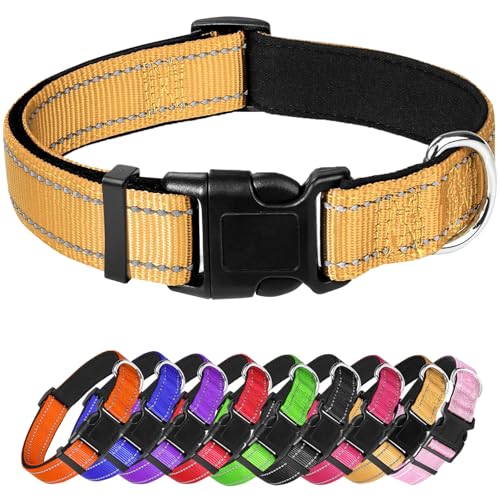 Großes Hundehalsband, reflektierendes Haustierhalsband mit Schnalle, verstellbare Sicherheits-Nylon-Halsbänder für kleine, mittelgroße und große Hunde, Gelb von Confvrter