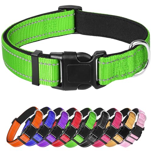 Großes Hundehalsband, reflektierendes Haustierhalsband mit Schnalle, verstellbare Sicherheits-Nylon-Halsbänder für kleine, mittelgroße und große Hunde, Grün von Confvrter