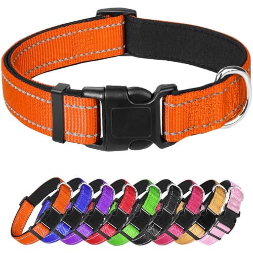 Großes Hundehalsband, reflektierendes Haustierhalsband mit Schnalle, verstellbare Sicherheits-Nylon-Halsbänder für kleine, mittelgroße und große Hunde, Orange von Confvrter