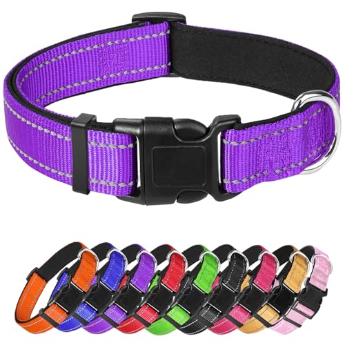 Hundehalsband für kleine Hunde, reflektierendes Haustierhalsband mit Schnalle, verstellbar, Sicherheits-Nylonhalsbänder für kleine, mittelgroße und große Hunde, Lila von Confvrter