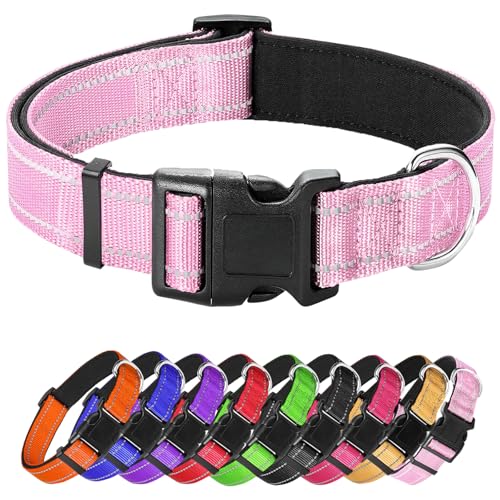 Hundehalsband für kleine Hunde, reflektierendes Haustierhalsband mit Schnalle, verstellbare Sicherheits-Nylon-Halsbänder für kleine, mittelgroße und große Hunde, Hellrosa von Confvrter