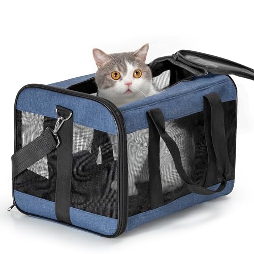 Conlun Katzenboxe Flugzeugtauglich, Weichseitige Hundetransportbox mit Innenleine, Transport für kleine bis mittelgroße Katzen und Welpen bis 7 kg, Zusammenklappbare Reisetasche -Blau,M von Conlun