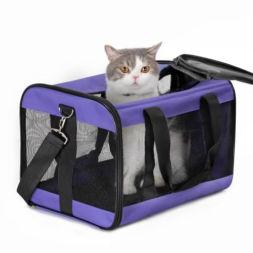 Conlun Katzenboxe Flugzeugtauglich, Weichseitige Hundetransportbox mit Innenleine, Transport für kleine bis mittelgroße Katzen und Welpen bis 7 kg, Zusammenklappbare Reisetasche -Lila,M von Conlun