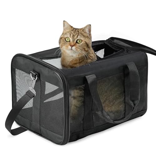 Conlun Katzenboxe Flugzeugtauglich, Weichseitige Hundetransportbox mit Innenleine, Transport für kleine bis mittelgroße Katzen und Welpen bis 7 kg, Zusammenklappbare Reisetasche -Schwarz,M von Conlun