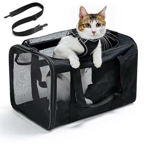 Conlun Katzentransportbox,Weiche Katzentransporttasche mit 4-seitigem Netz, Flugzeugtaugliche Katzentasche für Kleine&Mittelgroße Katze Kätzchen Welpen bis 6 Kg, Hundetransportbox Faltbar-M, Schwarz von Conlun