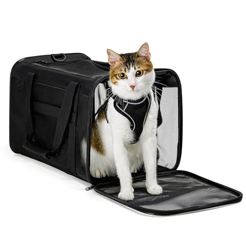 Conlun Katzentransportbox,Weiche Katzentransporttasche mit 4-seitigem Netz, Flugzeugtaugliche Katzentasche für Kleine&Mittelgroße Katze Kätzchen Welpen bis 6 Kg, Hundetransportbox Faltbar-M, Schwarz von Conlun