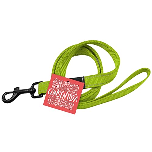 Consentida Große Hundeleine T3 - Größe L 100 x 2 cm - Neongrün - Einfarbig bedruckt - strapazierfähiges Gewebe aus Nylon - Leicht zu befestigen - Hundezubehör von Consentida