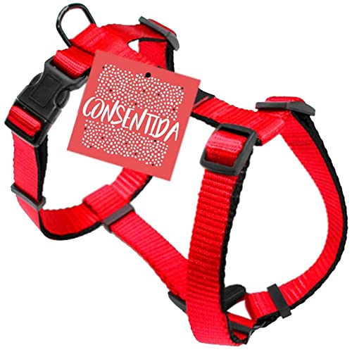 Consentida Glattes Hundegeschirr für große Hunde, T3, Größe L 35 – 55 x 2 cm, Rot – Robustes Gewebe aus Nylon, leicht zu befestigen, Zubehör für Hunde von Consentida