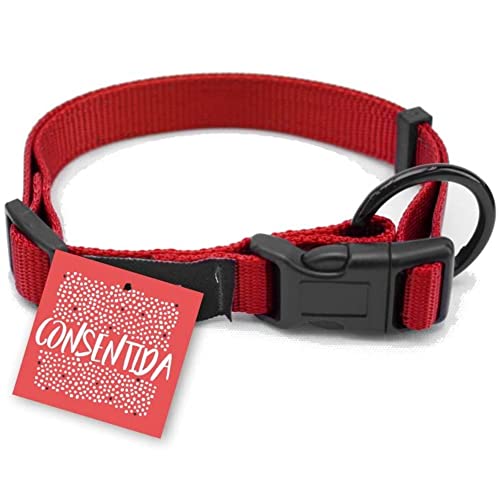 Consentida cn205398 Halskette Sicherheit glatt T-3, 33 – 50 x 2 cm, L, rot von Consentida