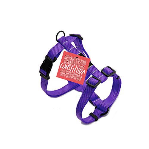 Consentida cn205402 Fluor Hosenträgergurt T-3, 35 – 55 x 2 cm, L, Violett von Consentida