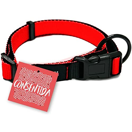 Consentida Basic Halsband für kleine Hunde T1 – Größe S 20 – 35 x 1 cm – Rot – glatter und robuster Stoff – integrierte Regulierungsfunktion mit Klickverschluss von Consentida