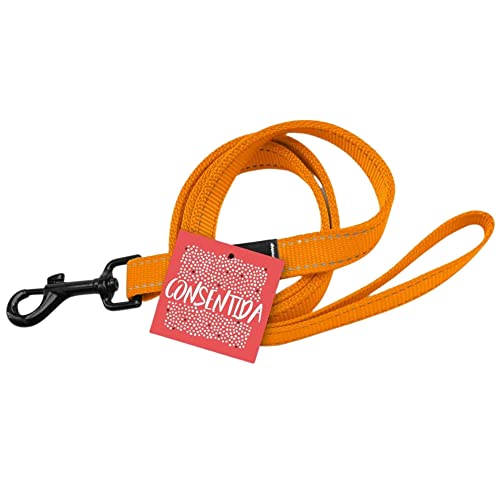 Consentida T1 Hundeleine für kleine Hunde, Größe S 120 x 1 cm, Neonorange, einfarbiger Druck, robuster Stoff aus Nylon, leicht zu befestigen, Zubehör für Hunde von Consentida