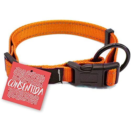 Consentida cn205674 Halskette Sicherheit Fluorid-2, 28 – 45 x 1.5 cm, M, Orange von Consentida