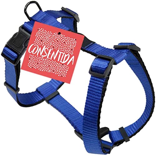 Consentida cn205694 Harness Basic T-3, 35 – 55 x 2 cm, L, blau von Consentida