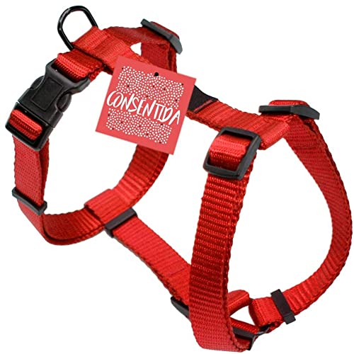 Consentida Glattes Hundegeschirr für kleine Hunde T1 - Größe S 20-40 x 1 cm - Rot - Robustes Gewebe aus Nylon - Leicht zu befestigen - Hundezubehör von Consentida