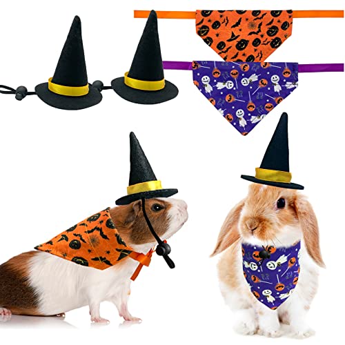 CooShou Halloween Meerschweinchen Zauberer Hut Bandanas Kostüm Kaninchen Dreieckstuch Schwarz Orange Kürbis Spinne Fledermaus Teufel für Kleintiere Häschen Zuckergleiter Urlaub Party L von CooShou