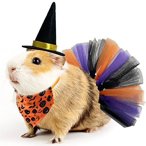 CooShou Meerschweinchen-Halloween-Kostüm, kleine Tiere, Hexenhut, Halloween, Bandana, Dreieckstuch für Meerschweinchen, Chinchilla, 3 Stück von CooShou