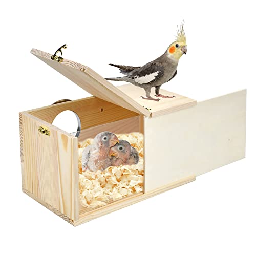 CooShou Sittich-Nistkasten Nymphensittiche Nymphensittiche Nistkasten Natur Kiefer Vogelnest Vogelbrutkasten Haus Acryl Transparent Vogelbox mit abnehmbarem Holzbrett für Lovebirds Nymphensittiche von CooShou