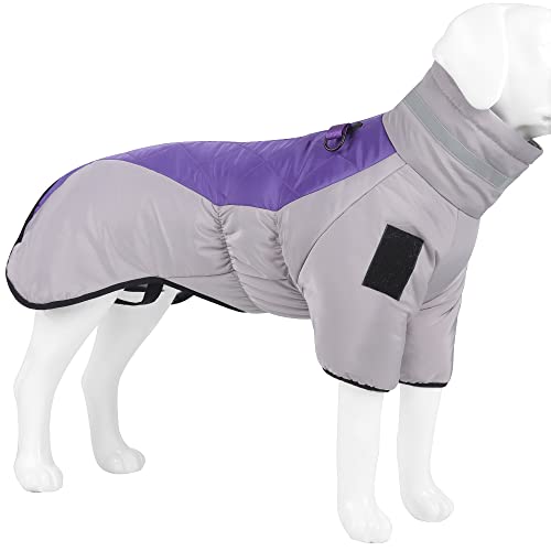 Coogime Hundejacke Winterweste Jacken Hundemantel Hundepullover Haustier Skifahren hundemantel wasserdicht Hunde Bekleidung für Winter (Grey-Purple, 3XL) von Coogime