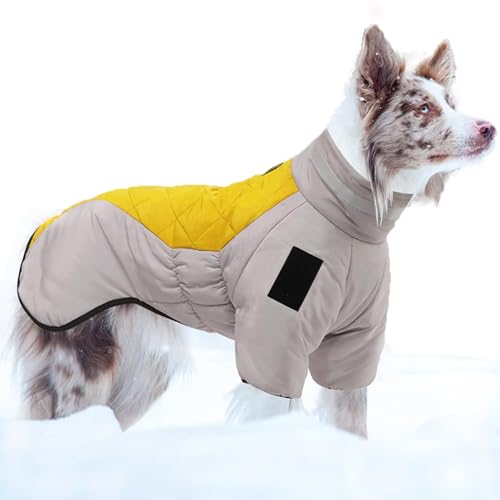 Coogime Hundejacke Winterweste Jacken Hundemantel Hundepullover Haustier Skifahren hundemantel wasserdicht Hunde Bekleidung für Winter (Grey-Yellow, 2XL) von Coogime