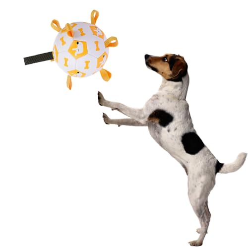 Coogime Hundespielzeug, 15/19CM Interaktiver Wasserspielzeug Hund Ball mit Ballpumpe und Nadel, Hundeball für Große Kleine und Mittelgroße Hunde, Innen & Außen Spielzeug Hund (15cm) von Coogime