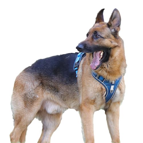 Coogime atmungsaktives Hundegeschirr No pull Brustgeschirr Reflexstreifes Geschirr für Hunde Sicheres Welpengeschirr Führung Einstellbar Weich (blau, XL) von Coogime