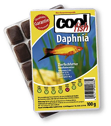 Cool Fish Daphnia, 30 x 100g-Blister, Fisch-Frostfutter, Aquarium, Süßwasser, Aquaristik von Cool Fish