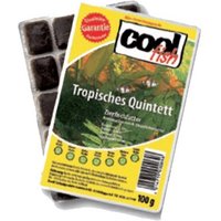 Cool Fish Tropisches Quintett 15x100 g von Cool Fish