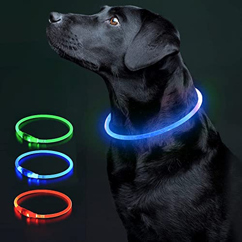 COOL PAWS Blaues LED-Hundehalsband, wiederaufladbar, Einheitsgröße, verstellbares Halsband mit 3 Leuchteinstellungen für nächtliche Spaziergänge, wasserabweisend und langlebig, ideal für kleine und von Cool Paws