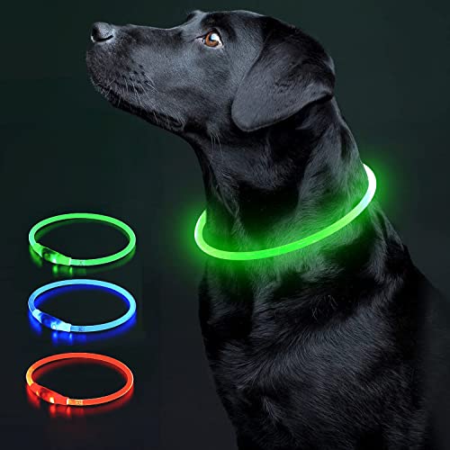 COOL PAWS Grünes LED-Hundehalsband, wiederaufladbar, Einheitsgröße, verstellbares Halsband mit 3 Leuchteinstellungen für nächtliche Spaziergänge, wasserabweisend und langlebig, ideal für kleine und von Cool Paws