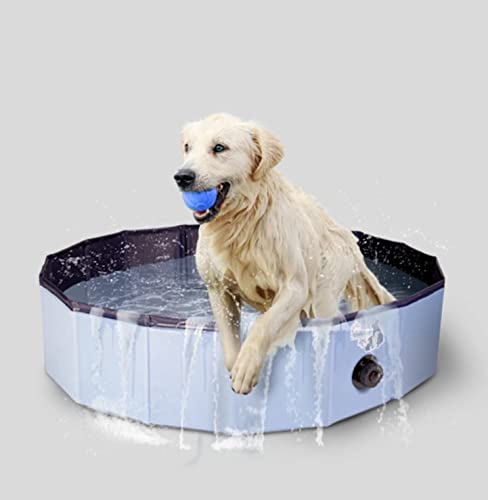 CoolPets Splash Dog Pool - Kühlungspool für Hunde - Hundepool - Hundebad - Spielerische Abkühlung - ø 100 x 25 cm - Medium von CoolPets